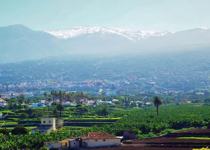 Elegant And Peaceful Aparments With Pool And Garden *